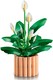 LEGO® Botanicals 11504 - Vitorlavirág