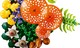 LEGO® Botanicals 11505 - Erdei gombák