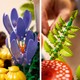 LEGO® Botanicals 11505 - Erdei gombák