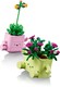 LEGO® Botanicals 11506 - Hintázó növények