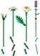 LEGO® Botanicals 11508 - Százszorszépek