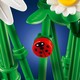 LEGO® Botanicals 11508 - Százszorszépek