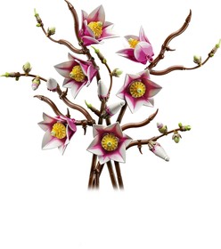 LEGO® Botanicals 11510 - Magnóliaágak