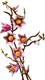 LEGO® Botanicals 11510 - Magnóliaágak