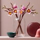 LEGO® Botanicals 11510 - Magnóliaágak