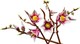 LEGO® Botanicals 11510 - Magnóliaágak