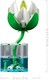 LEGO® Botanicals 11511 - Tündérrózsák