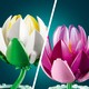LEGO® Botanicals 11511 - Tündérrózsák