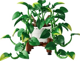 LEGO® Botanicals 11512 - Szobai futóka