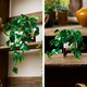 LEGO® Botanicals 11512 - Szobai futóka