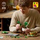 LEGO® Botanicals 11512 - Szobai futóka