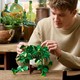 LEGO® Botanicals 11512 - Szobai futóka