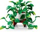 LEGO® Botanicals 11512 - Szobai futóka