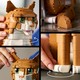 LEGO® Ideas - CUUSOO 21376 - Vörös macska