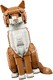 LEGO® Ideas - CUUSOO 21376 - Vörös macska