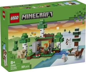 LEGO® Minecraft™ 21593 - Az első éjszaka kalandjai