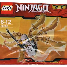 Ninja Glider