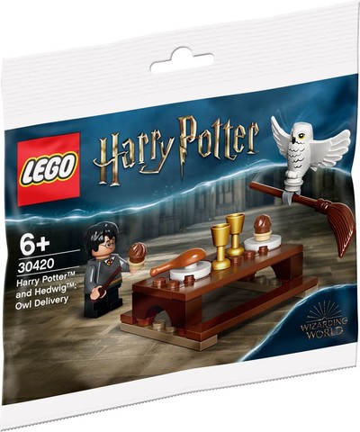 LEGO® Harry Potter™ 30420 - Harry Potter és Hedwig