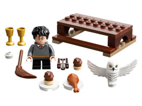 LEGO® Harry Potter™ 30420 - Harry Potter és Hedwig