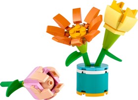 LEGO® Friends 30634 - Friendship Flowers