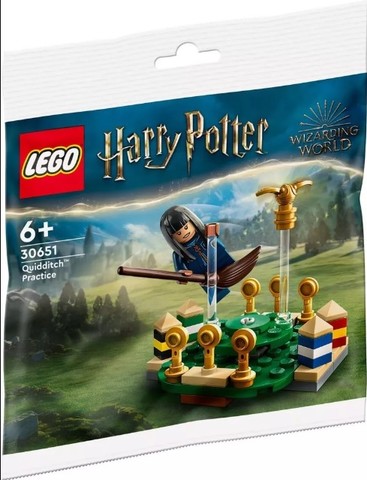 LEGO® Harry Potter™ 30651 - Harry Potter Kviddics edzés