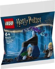 LEGO® Harry Potter™ 30677 - Draco A Tiltott Rengetegben