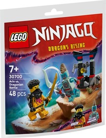 LEGO® NINJAGO® 30700 - Arin és egy drakonin csatája