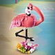 LEGO® Creator 3in1 31170 - Vadállatok: rózsaszín flamingó