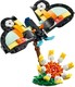 LEGO® Creator 3in1 31173 - Vadállatok: Trópusi tukán