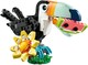 LEGO® Creator 3in1 31173 - Vadállatok: Trópusi tukán