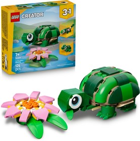 Teknős egy vízililiom-virággal