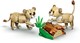 LEGO® Creator 3in1 31386 - Vadállatok: Fenséges oroszlán