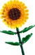 LEGO® Creator 3in1 40524 - Napraforgó