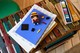 LEGO® BrickHeadz 40799 - Monkey D. Luffy figura