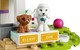 LEGO® Friends 41691 - Kutyus napközi