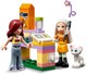 LEGO® Friends 42615 - Kisállat örökbefogadási nap