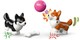 LEGO® Friends 42641 - Szörföző kutyák és robogós kalandok