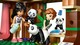 LEGO® Friends 42648 - Pandamenedékhely