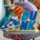LEGO® ICONS 43008 - Nike Dunk