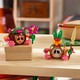 LEGO® Disney Princess™ 43293 - Kakamora