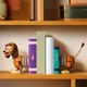 LEGO® Toy Story 43301 - Toy Story: Slinky kutya könyvtámasz