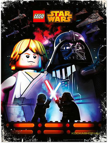 LEGO® Seasonal 5004230 - LEGO® Star Wars™ May 4th Poster