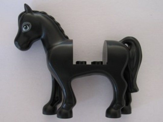 Fekete ló sötét kékes szürke színű szemekkel