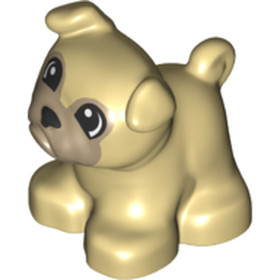 Bézs duplo bulldog