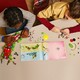 LEGO® DREAMZzz™ 71499 - Mateo festékszóró kocsija