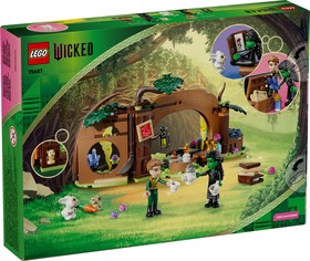 LEGO® Wicked 75687 - Elphaba rejtekhelye