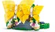 LEGO® Wicked 75688 - Glinda esküvője