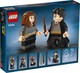 LEGO® Harry Potter™ 76393 - Harry Potter™ és Hermione Granger™