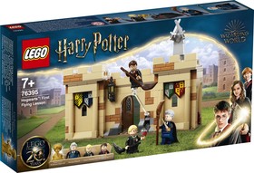 LEGO® Harry Potter™ 76395 - Roxfort™: Az első repülőlecke