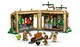 LEGO® Harry Potter™ 76445 - Roxfort™ kastély: Gyógynövénytanóra
